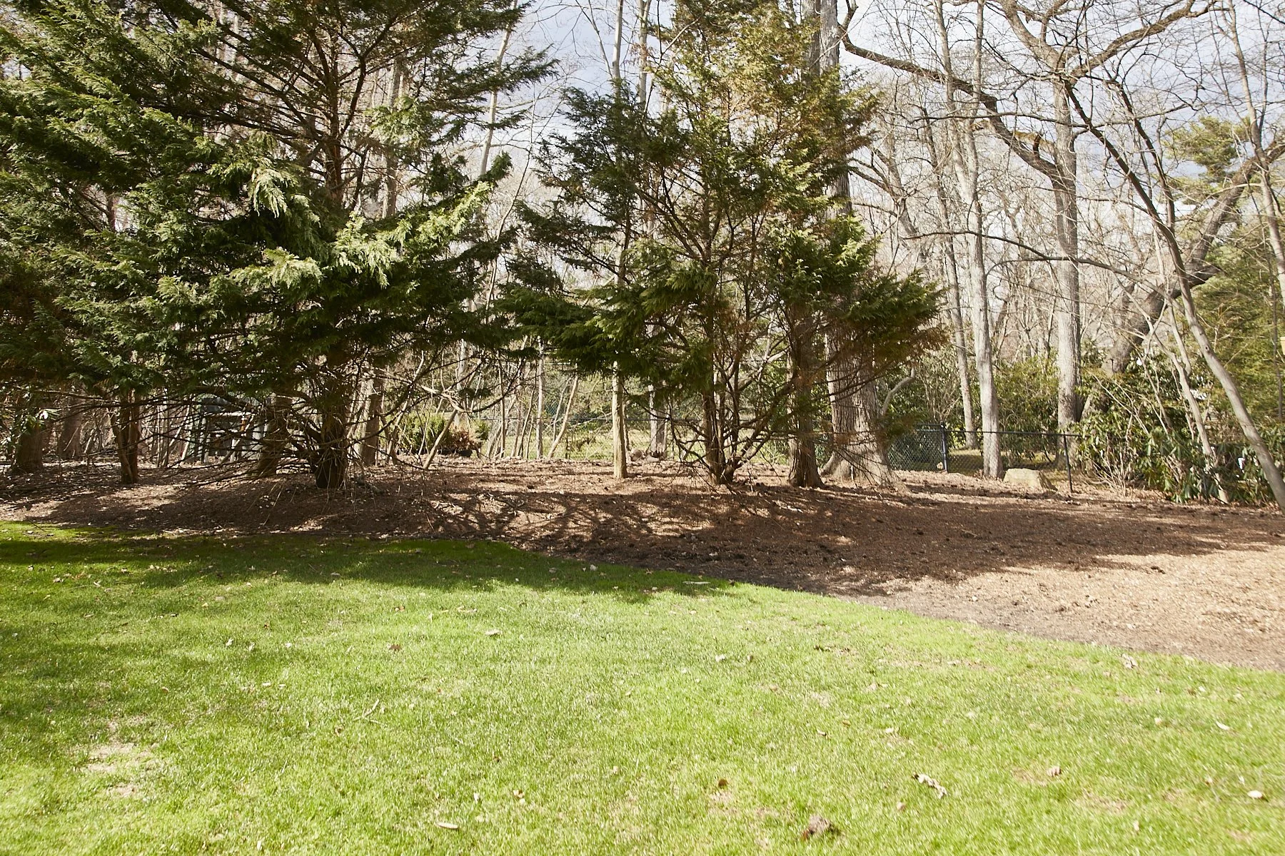 1985-4 Cedar Swamp , GLEN HEAD_323.jpg