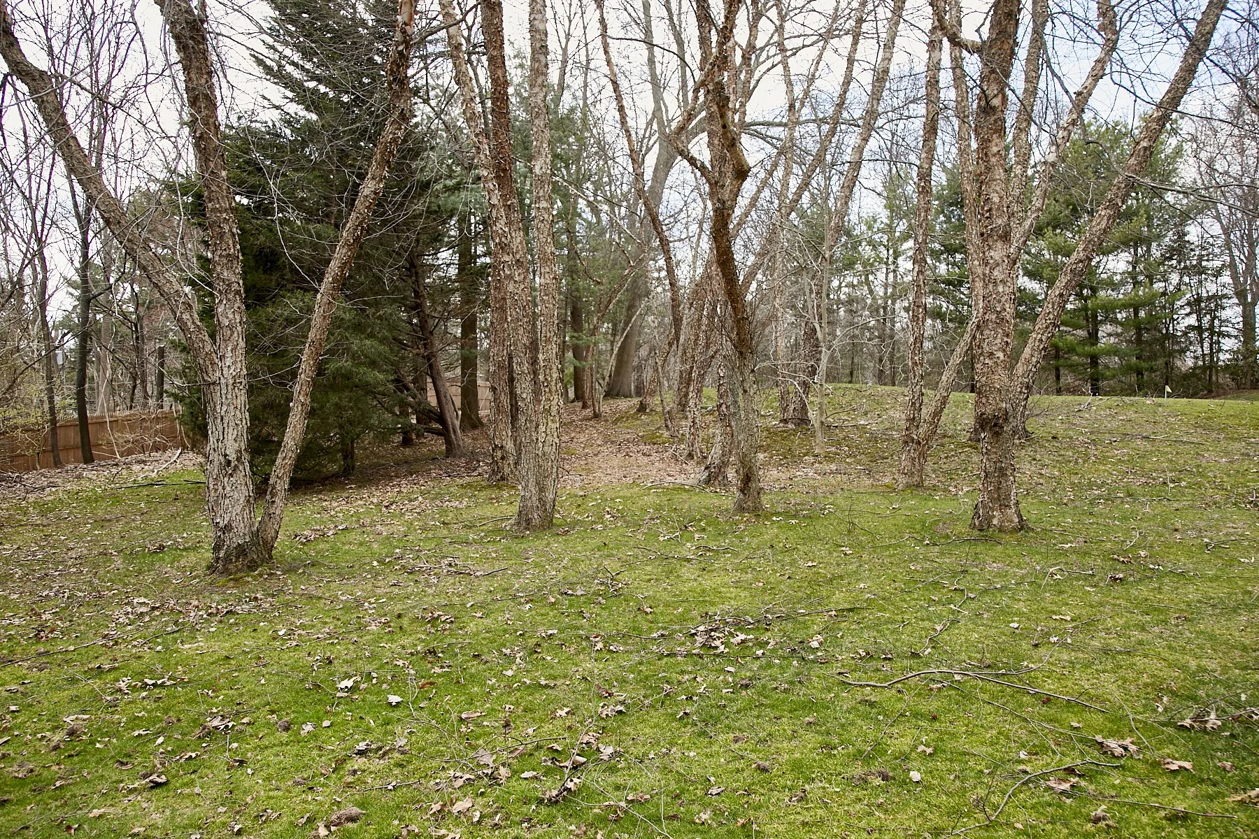 1985-4 Cedar Swamp , GLEN HEAD_120.jpg