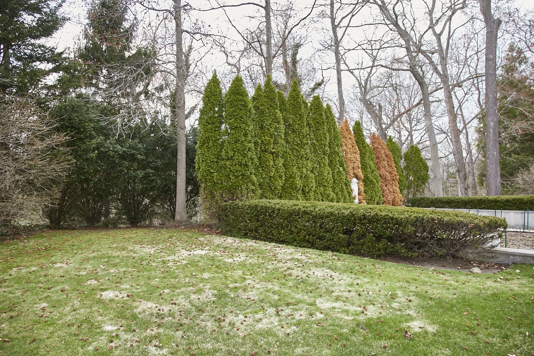 1985-4 Cedar Swamp , GLEN HEAD_272.jpg