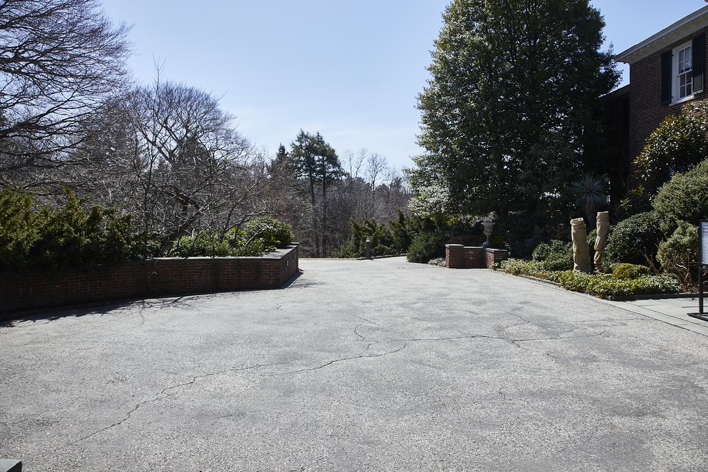 WAVE_HILL_BRONX_497.jpg
