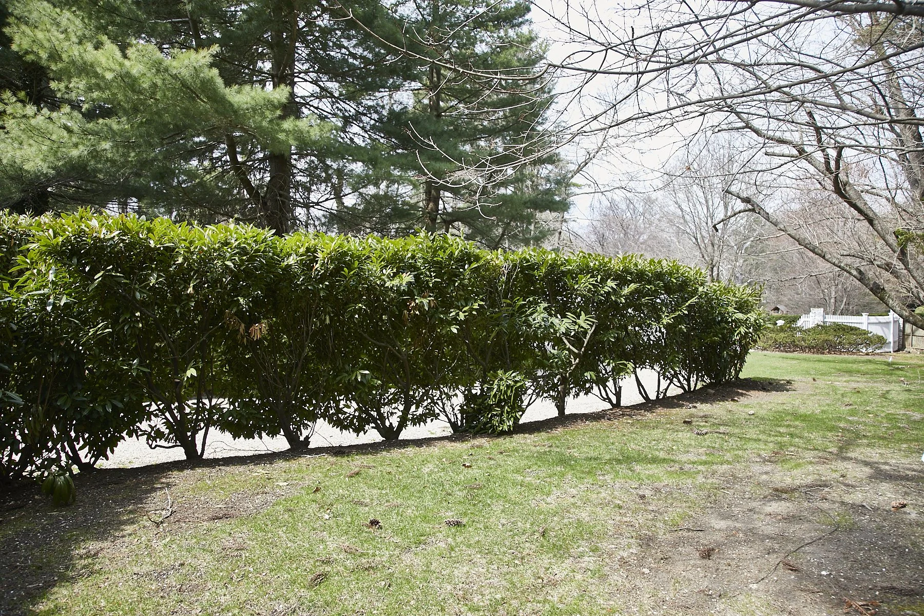 3 MEADOW SPRING LANE - GLEN COVE_99.jpg