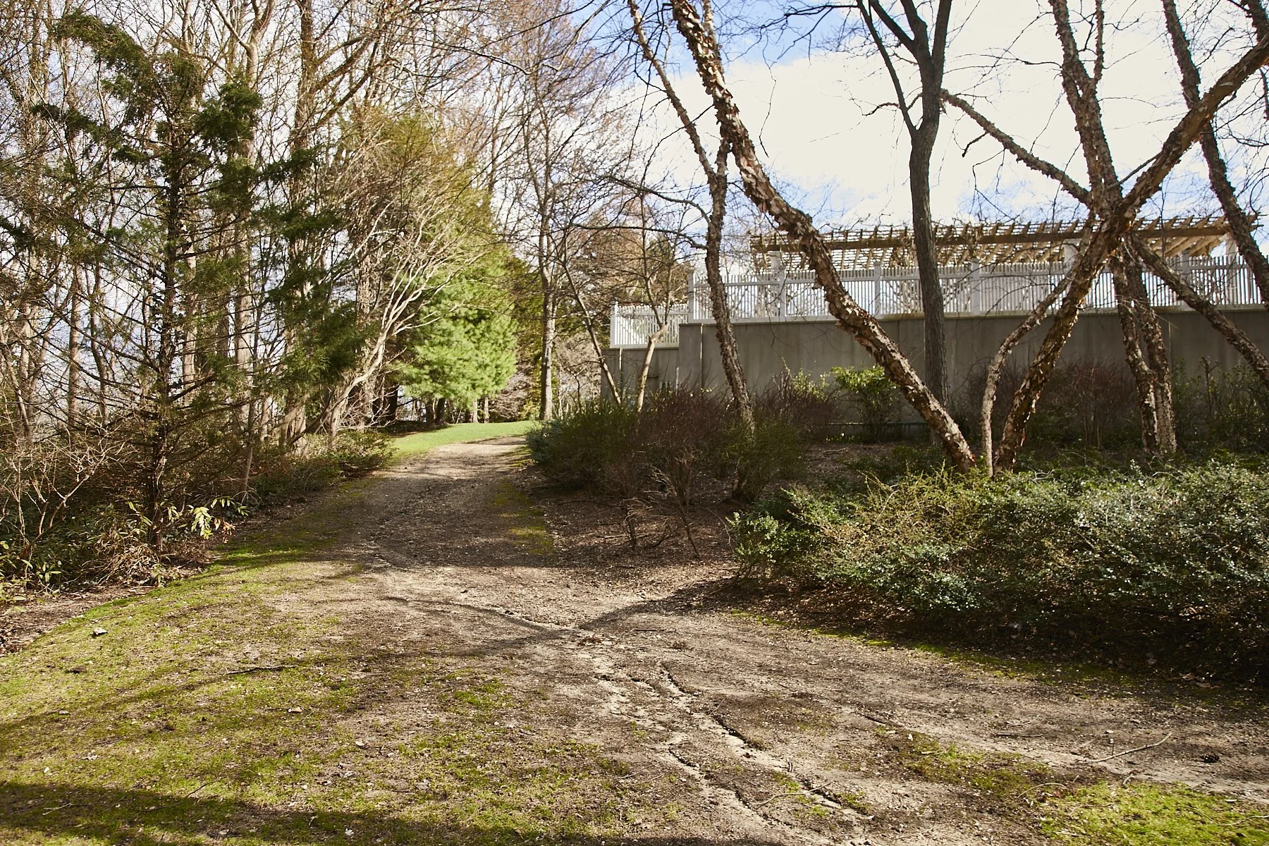 1985-4 Cedar Swamp , GLEN HEAD_327.jpg