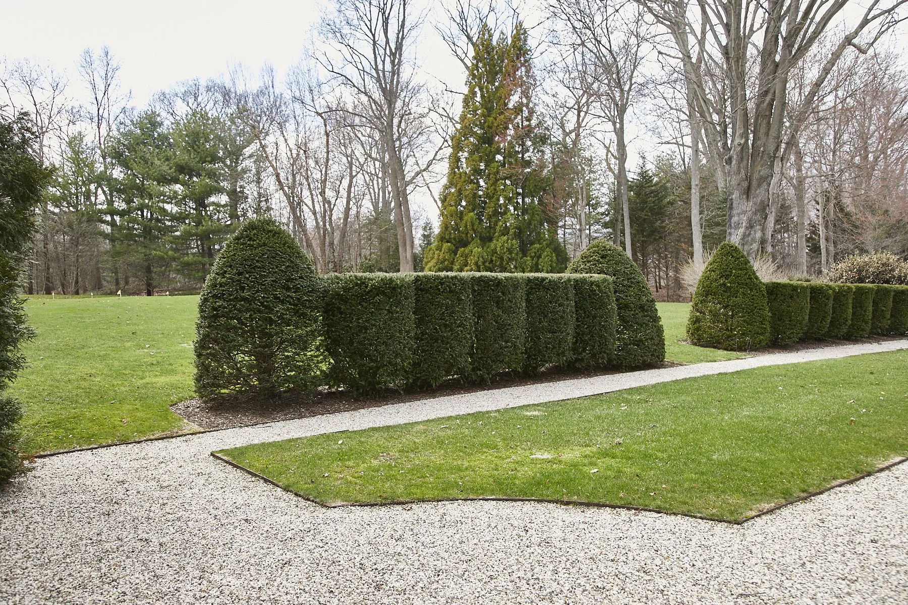 1985-4 Cedar Swamp , GLEN HEAD_147.jpg