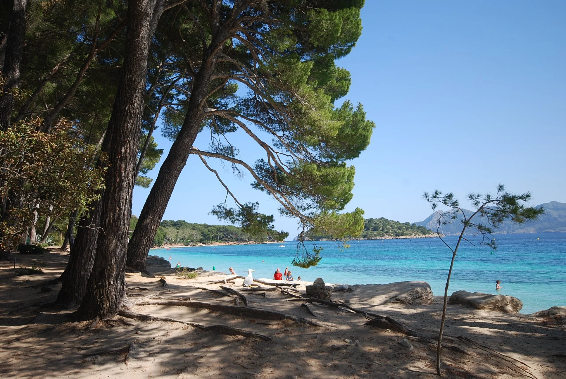 Formentor_8.JPG