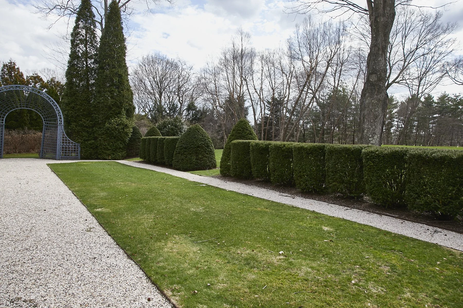 1985-4 Cedar Swamp , GLEN HEAD_155.jpg