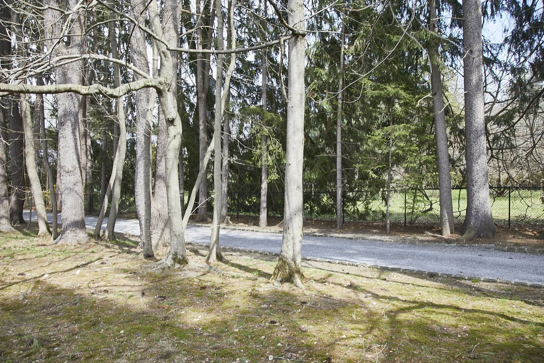 3 MEADOW SPRING LANE - GLEN COVE_97.jpg