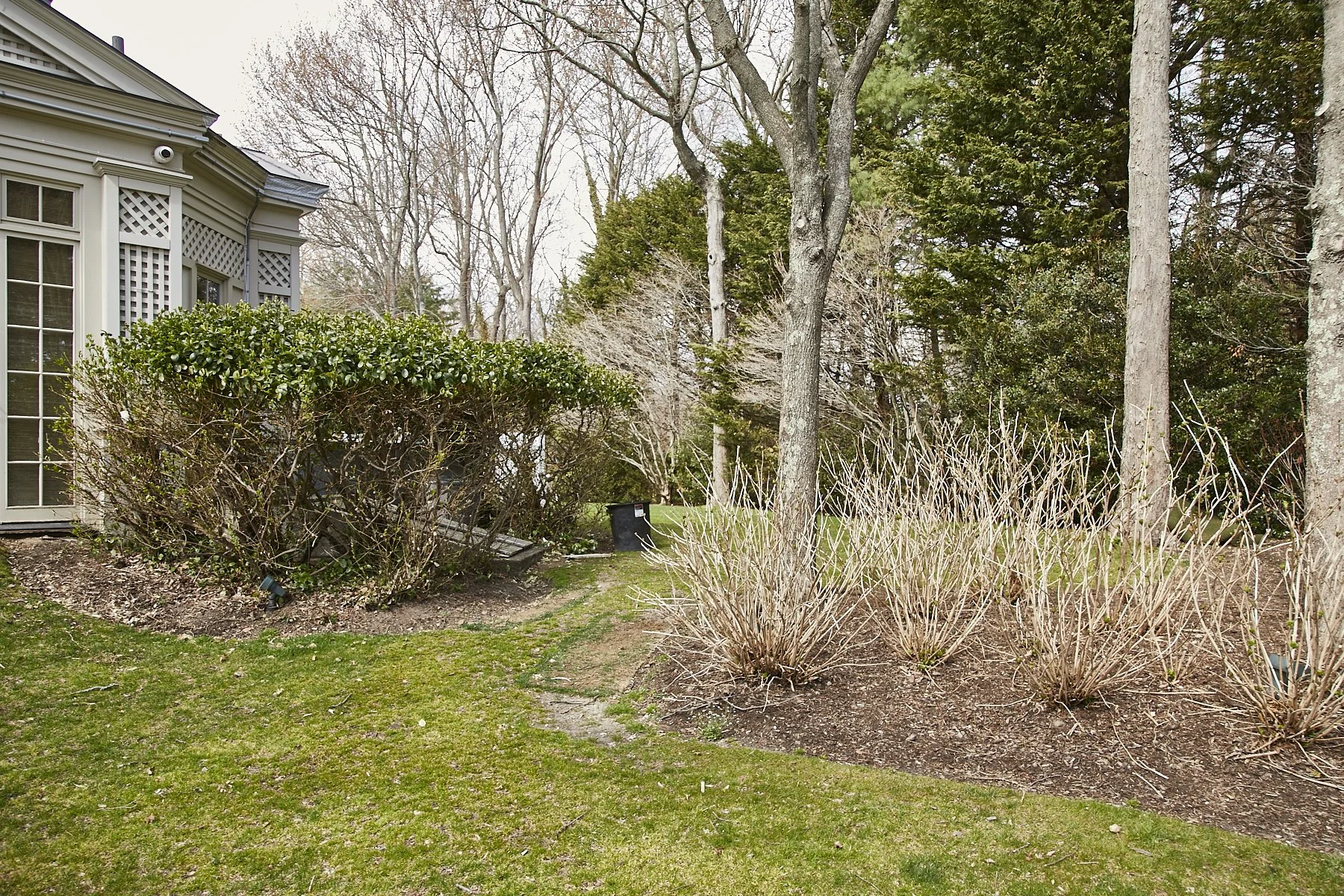 1985-4 Cedar Swamp , GLEN HEAD_51.jpg