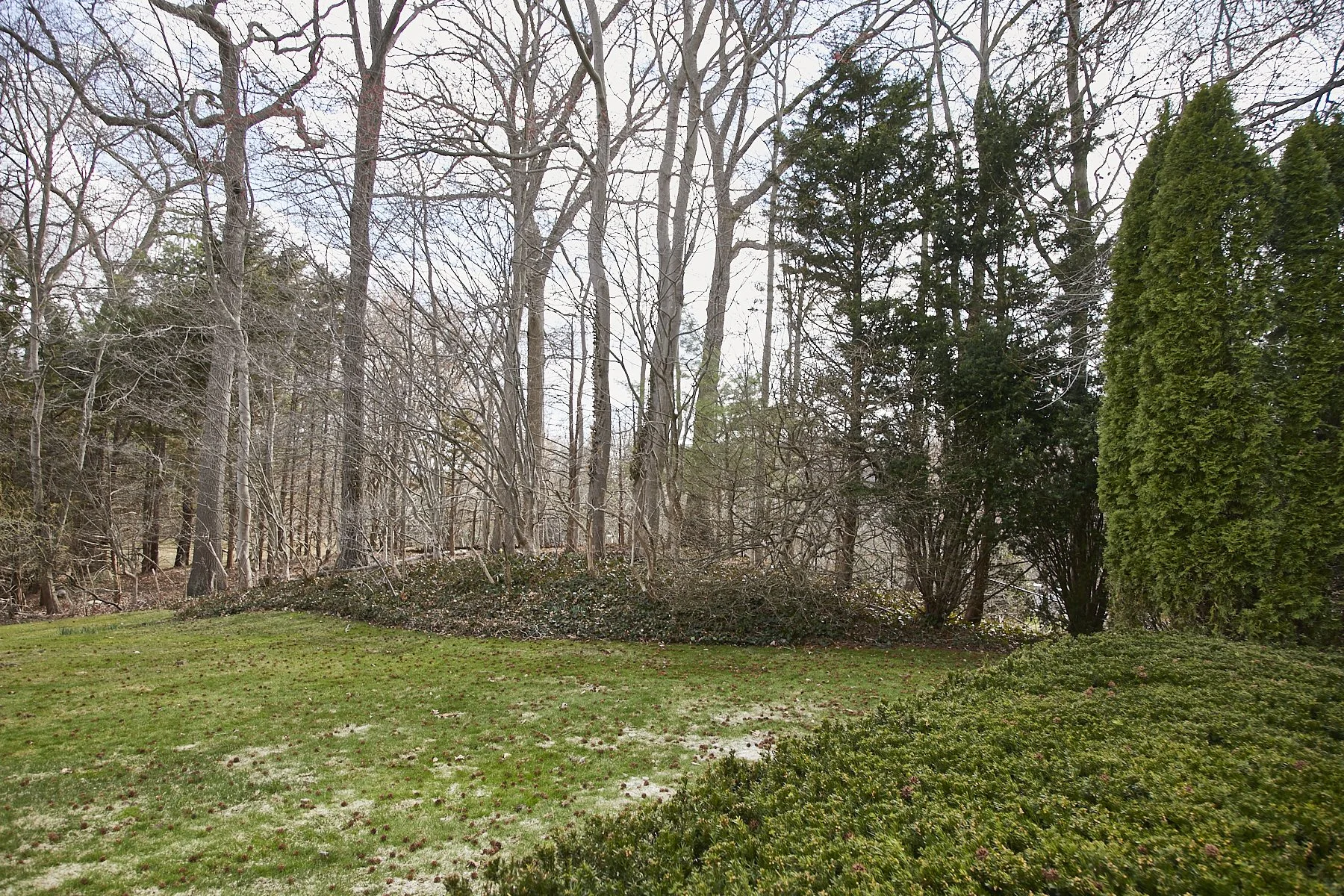 1985-4 Cedar Swamp , GLEN HEAD_257.jpg