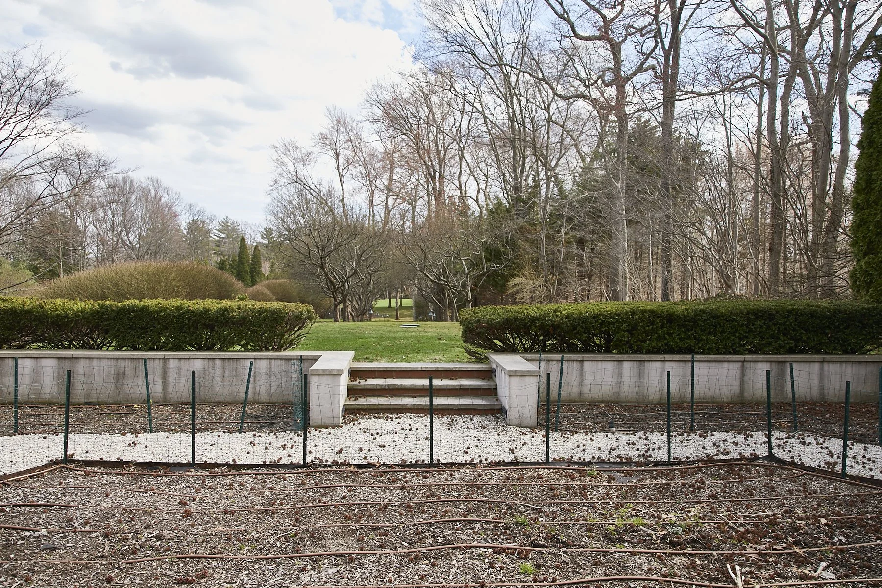 1985-4 Cedar Swamp , GLEN HEAD_252.jpg