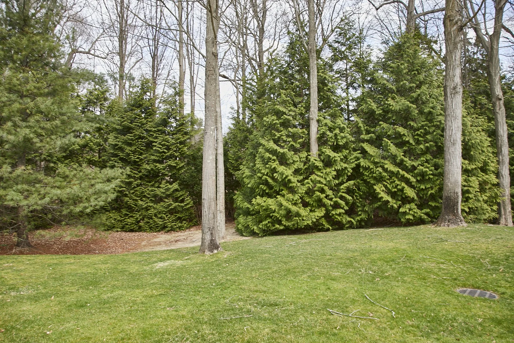 1985-4 Cedar Swamp , GLEN HEAD_107.jpg