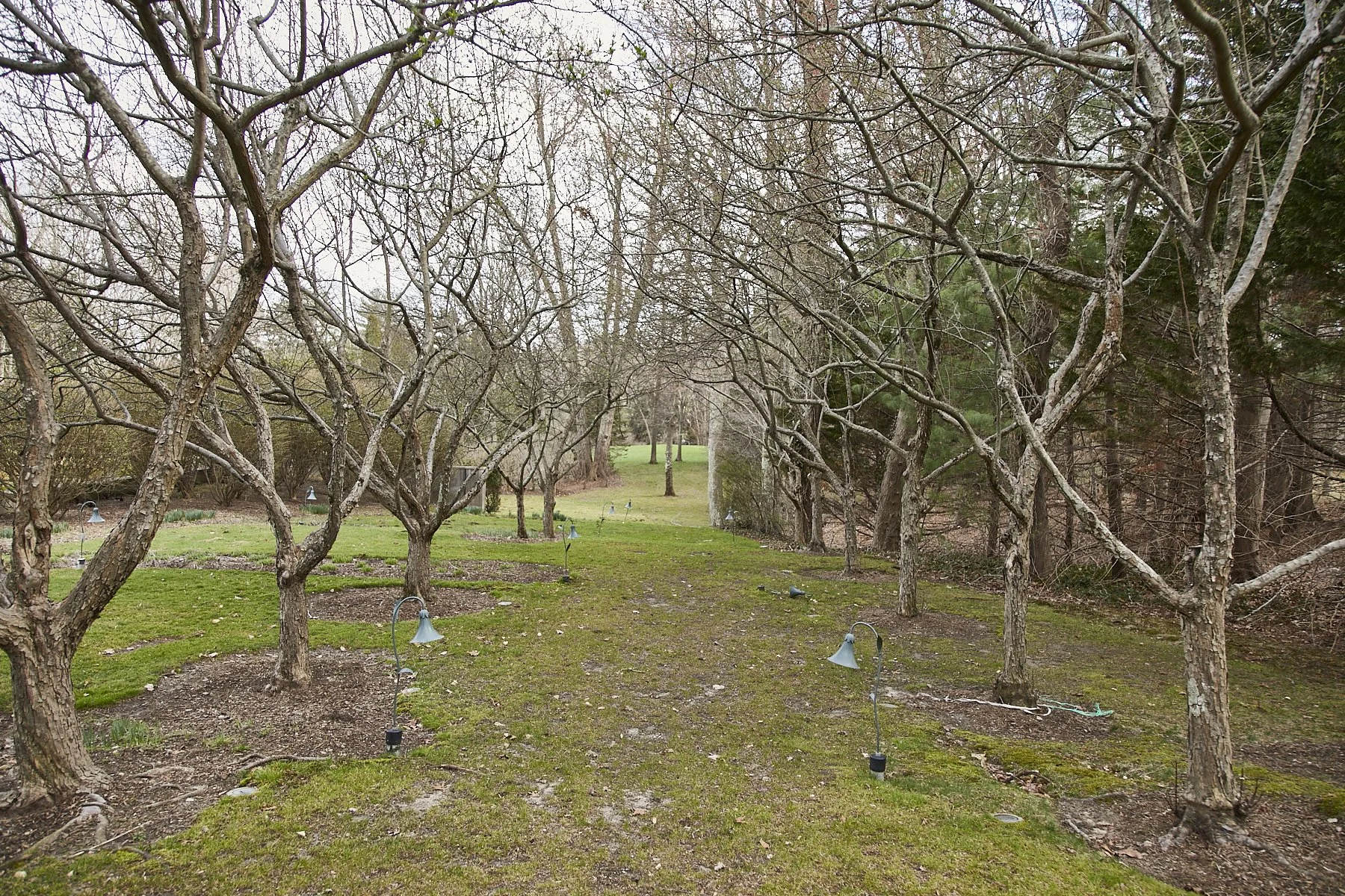 1985-4 Cedar Swamp , GLEN HEAD_265.jpg