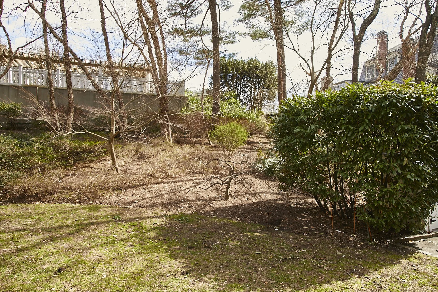 1985-4 Cedar Swamp , GLEN HEAD_321.jpg