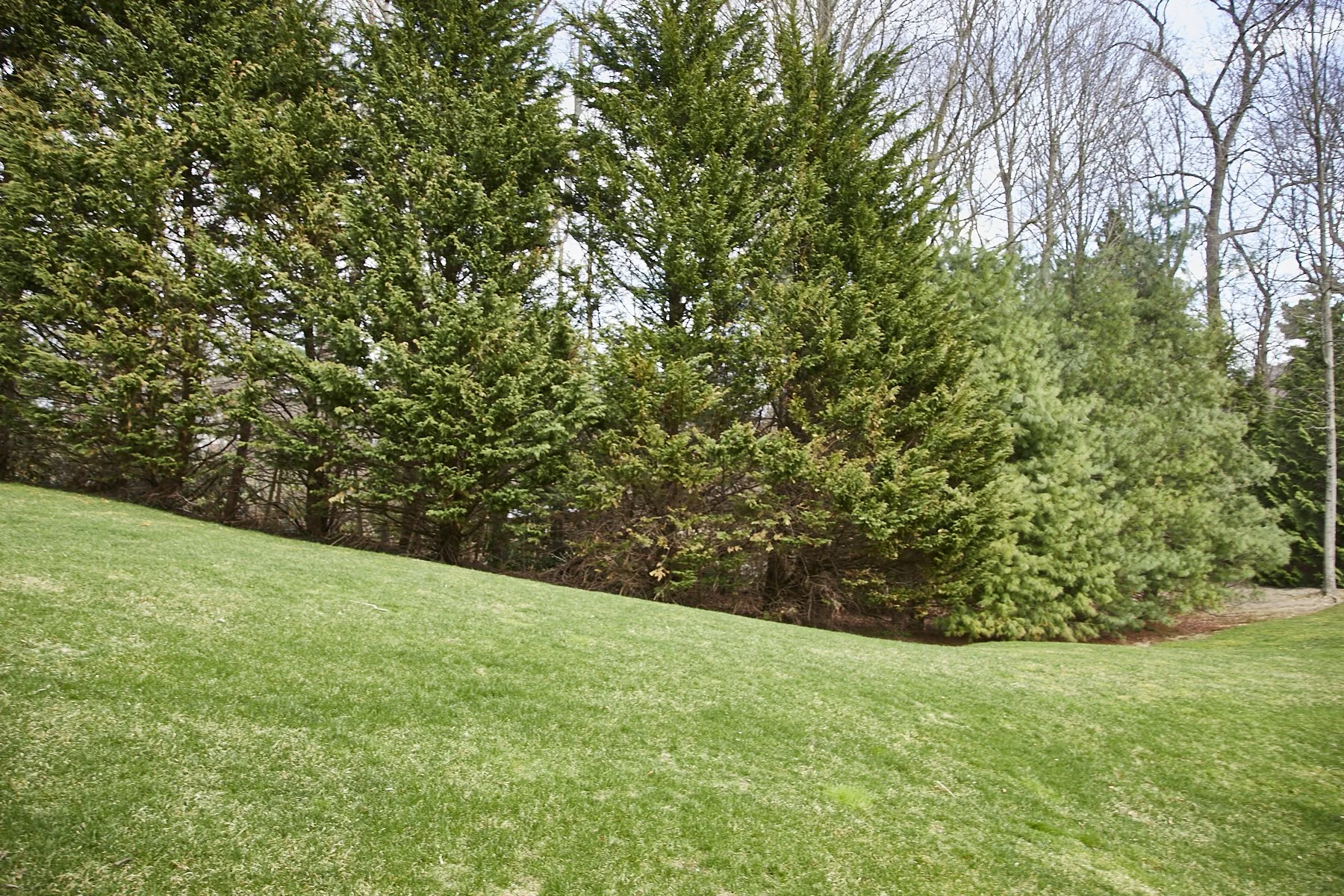 1985-4 Cedar Swamp , GLEN HEAD_99.jpg