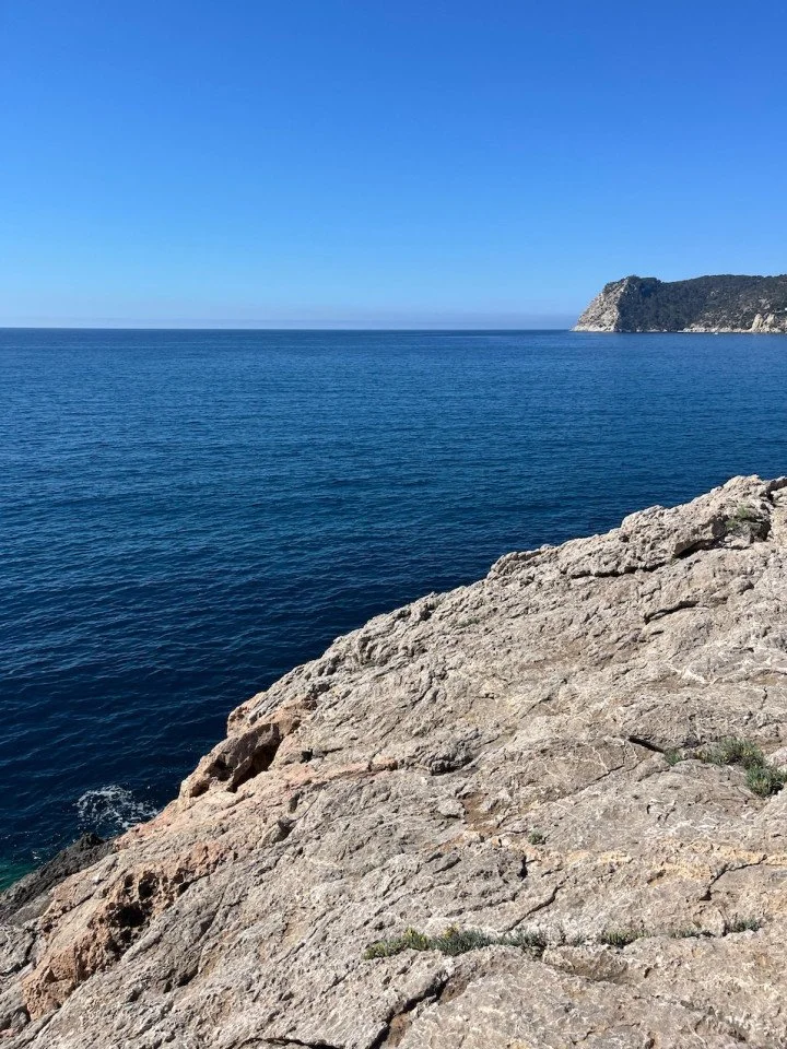 b056d0c8-6083-4488-a5a7-e0d285a9f80f.JPG