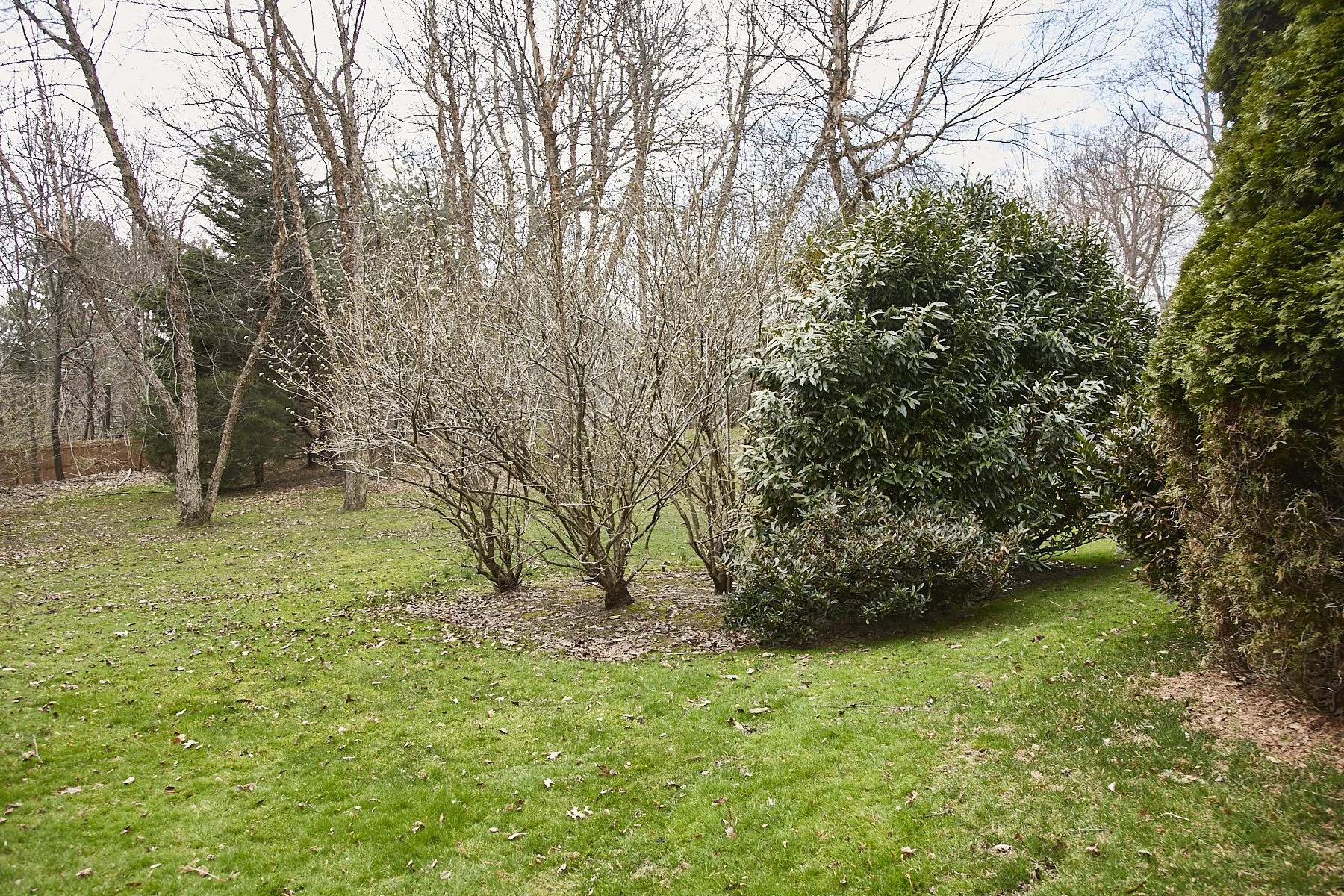 1985-4 Cedar Swamp , GLEN HEAD_118.jpg