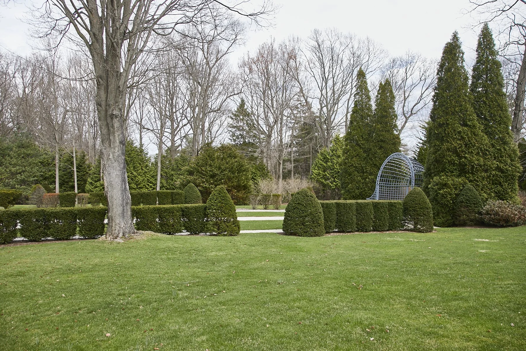 1985-4 Cedar Swamp , GLEN HEAD_141.jpg