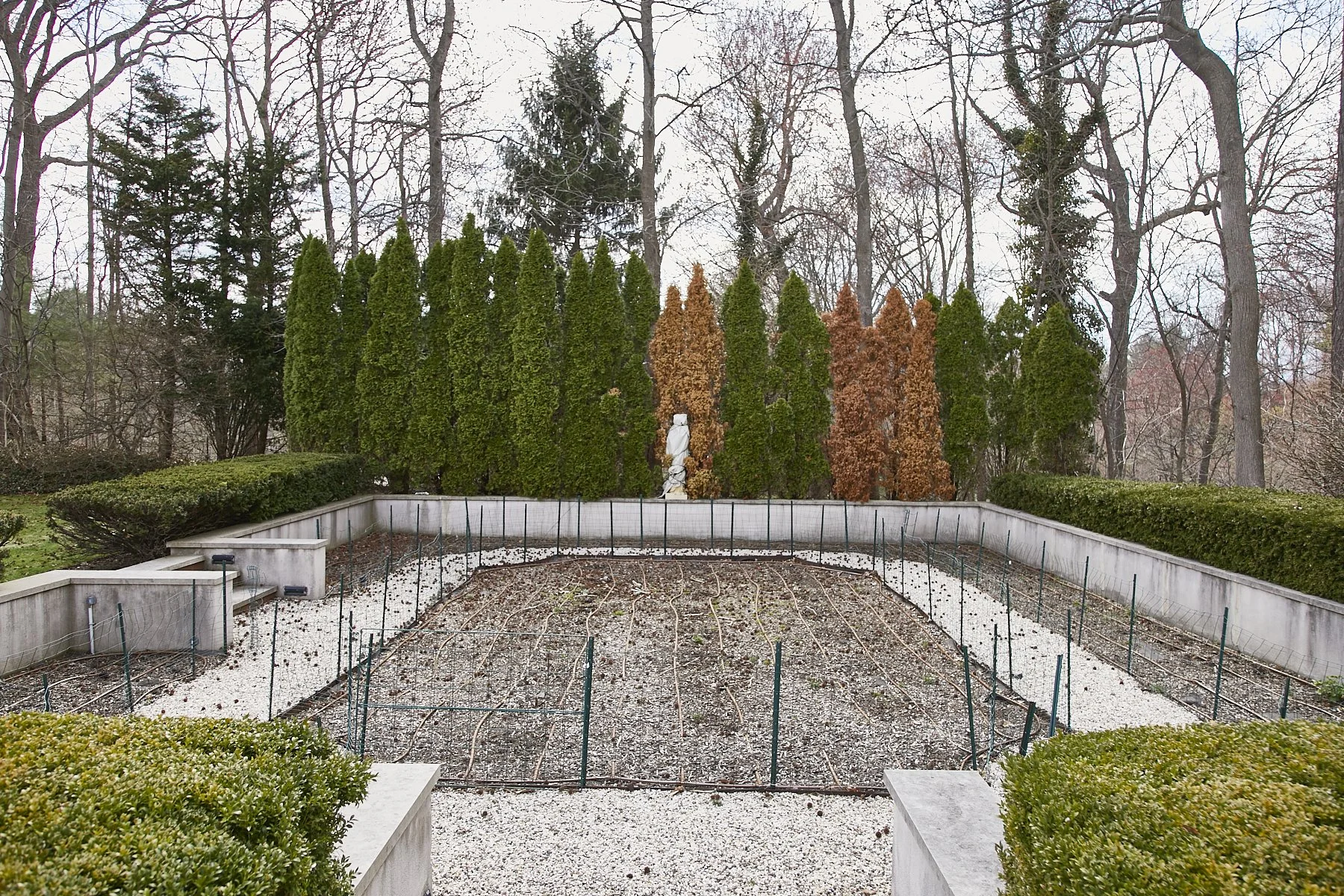 1985-4 Cedar Swamp , GLEN HEAD_250.jpg