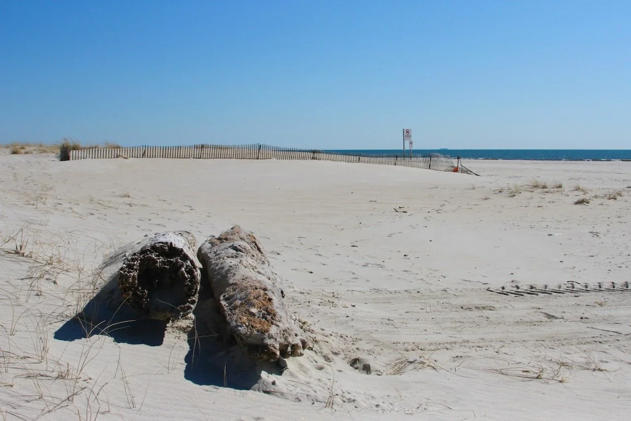 IMG_0789.jpeg