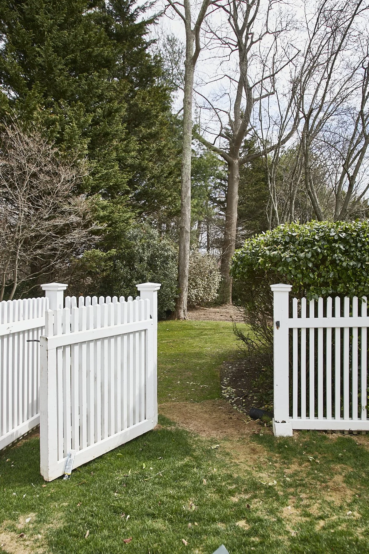 1985-4 Cedar Swamp , GLEN HEAD_23.jpg