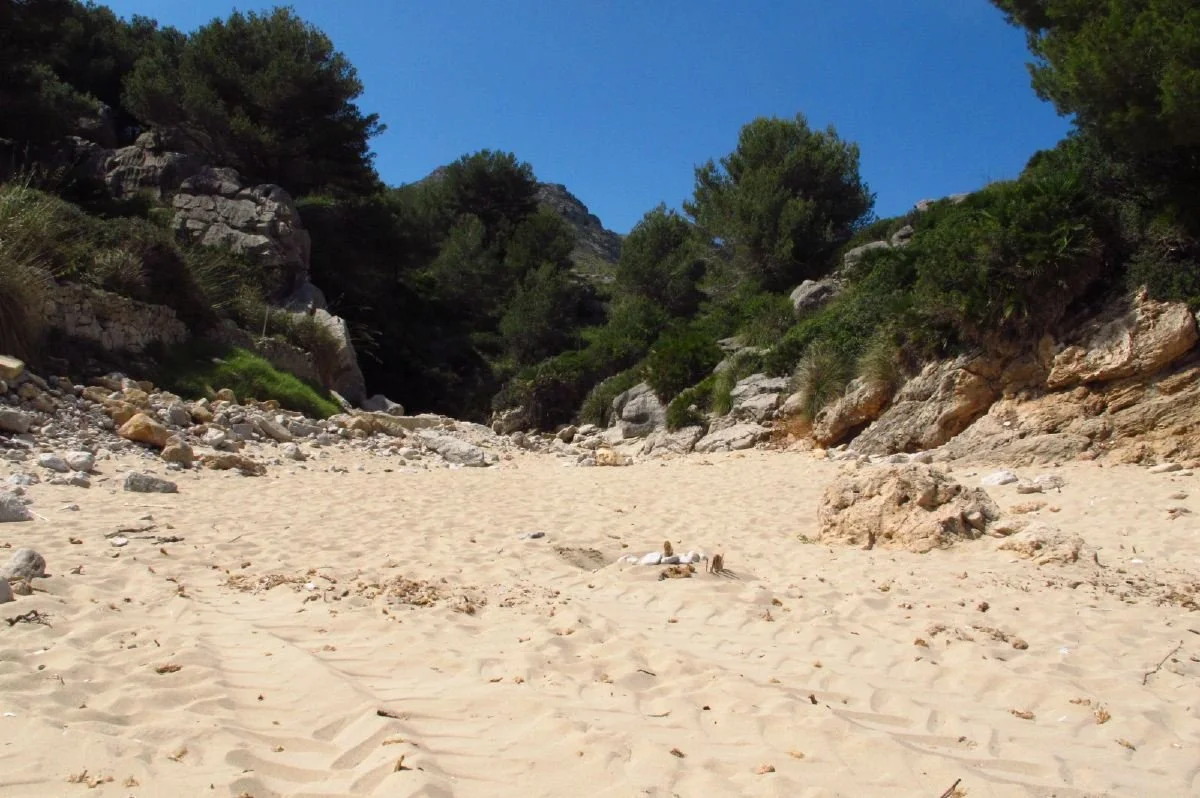 Sant_Vicenç_23.jpg