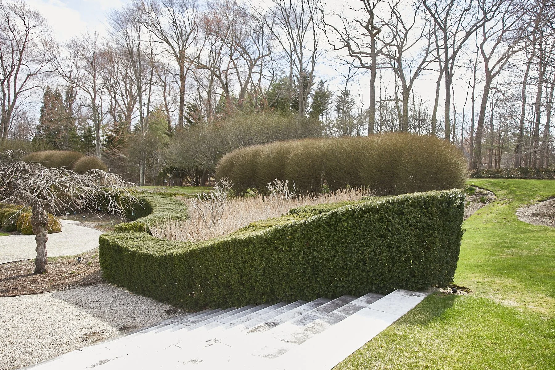 1985-4 Cedar Swamp , GLEN HEAD_197.jpg