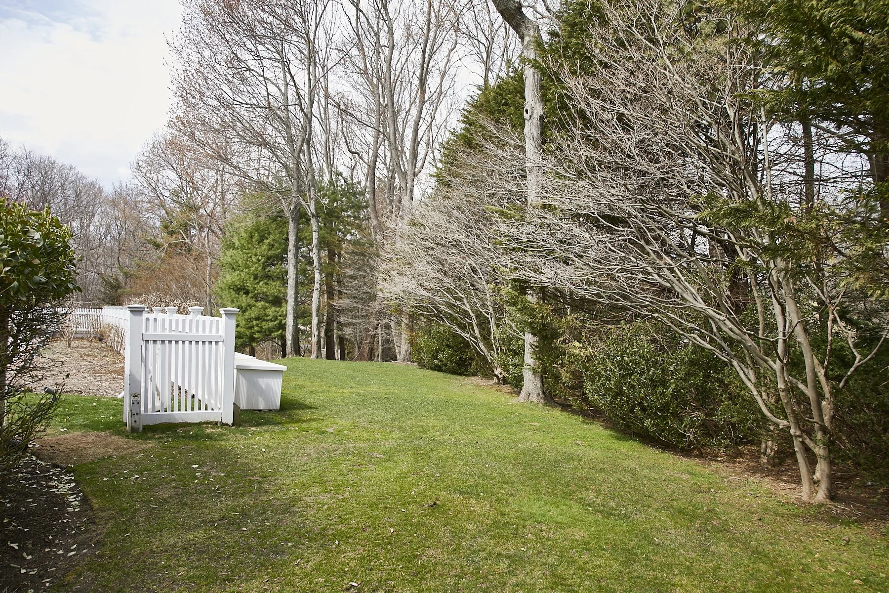 1985-4 Cedar Swamp , GLEN HEAD_46.jpg