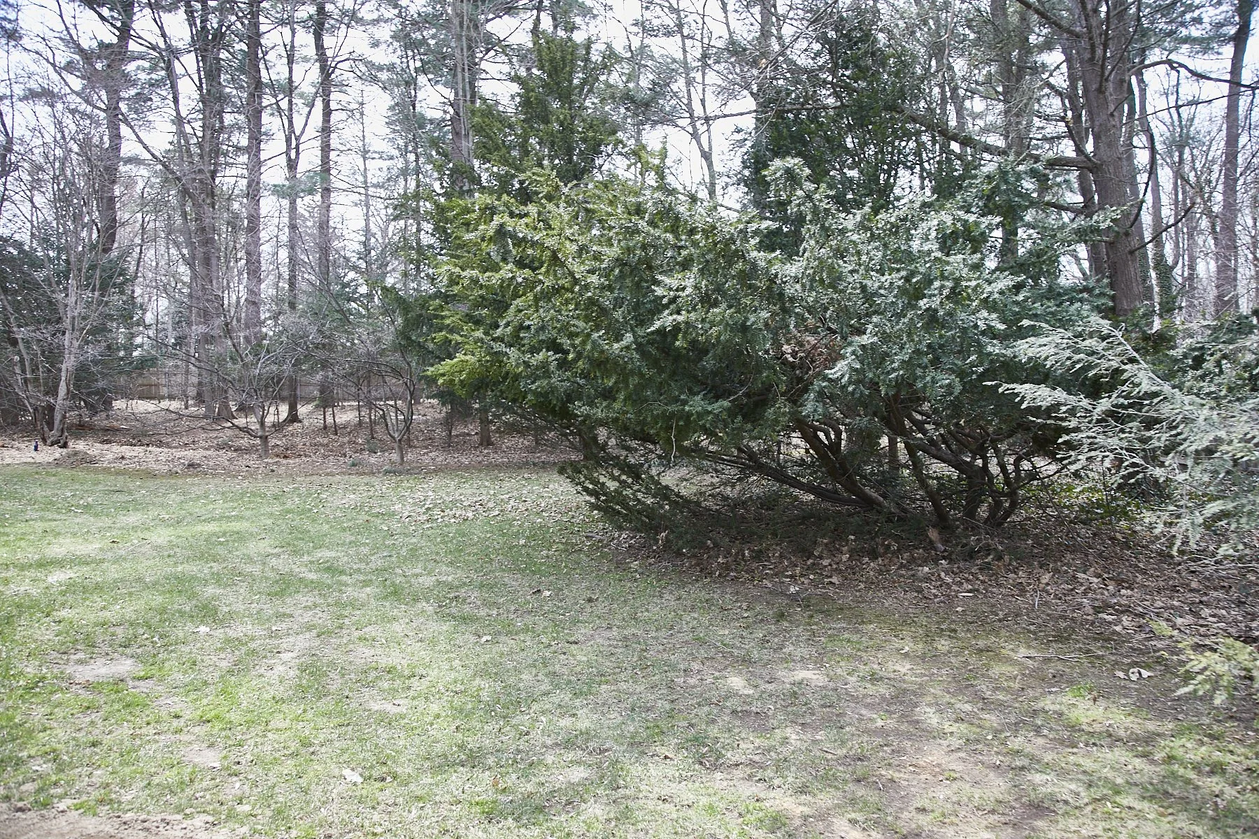 3 MEADOW SPRING LANE - GLEN COVE_115.jpg