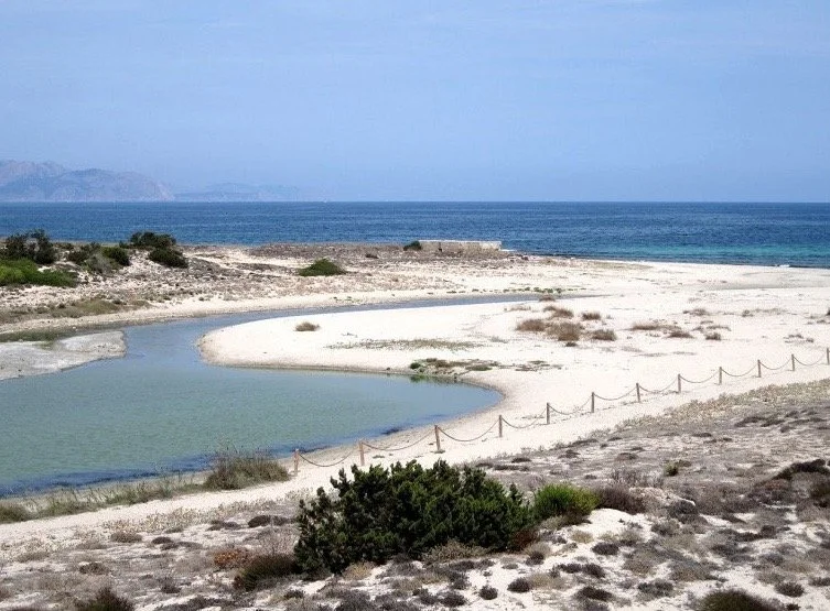 SonSerra_11.jpg
