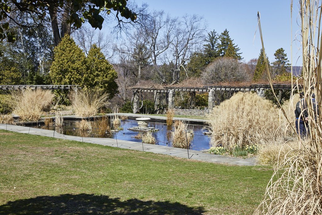 WAVE_HILL_BRONX_434.jpg