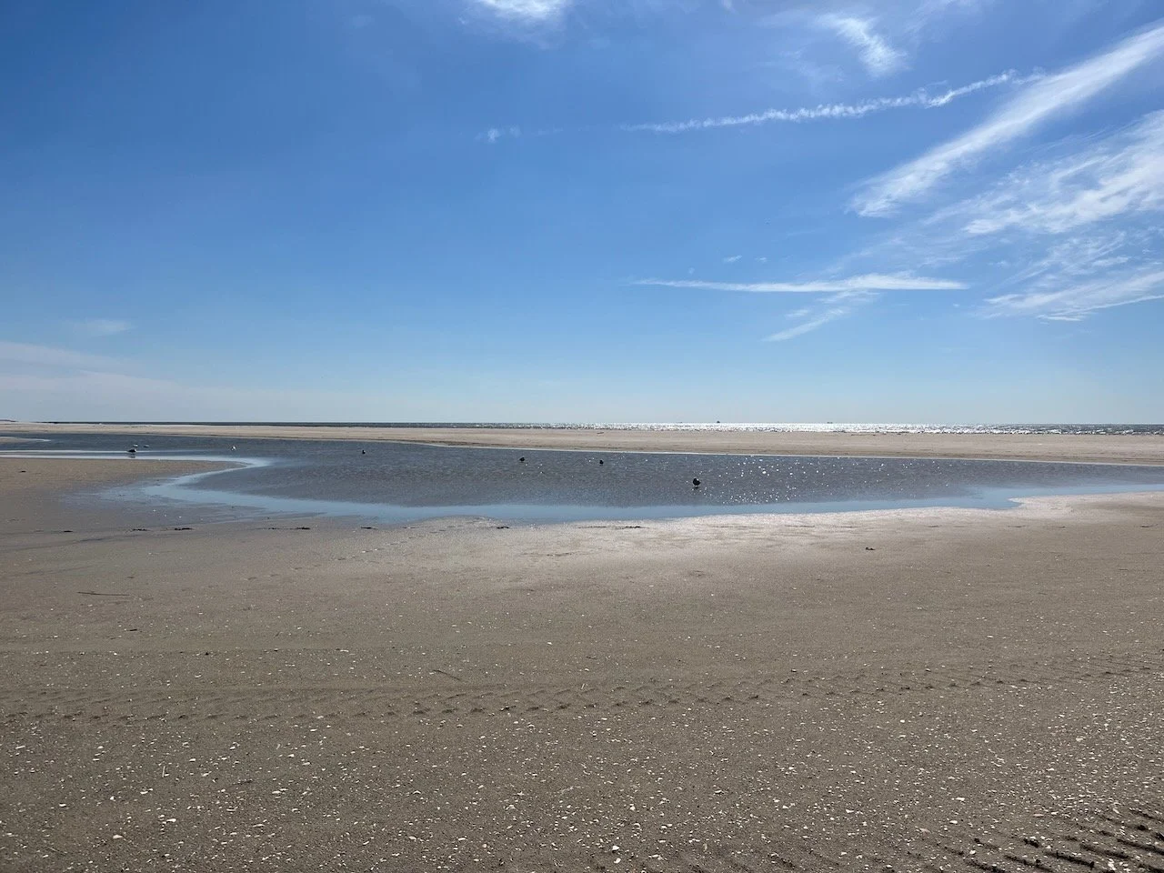 IMG_1212.jpeg