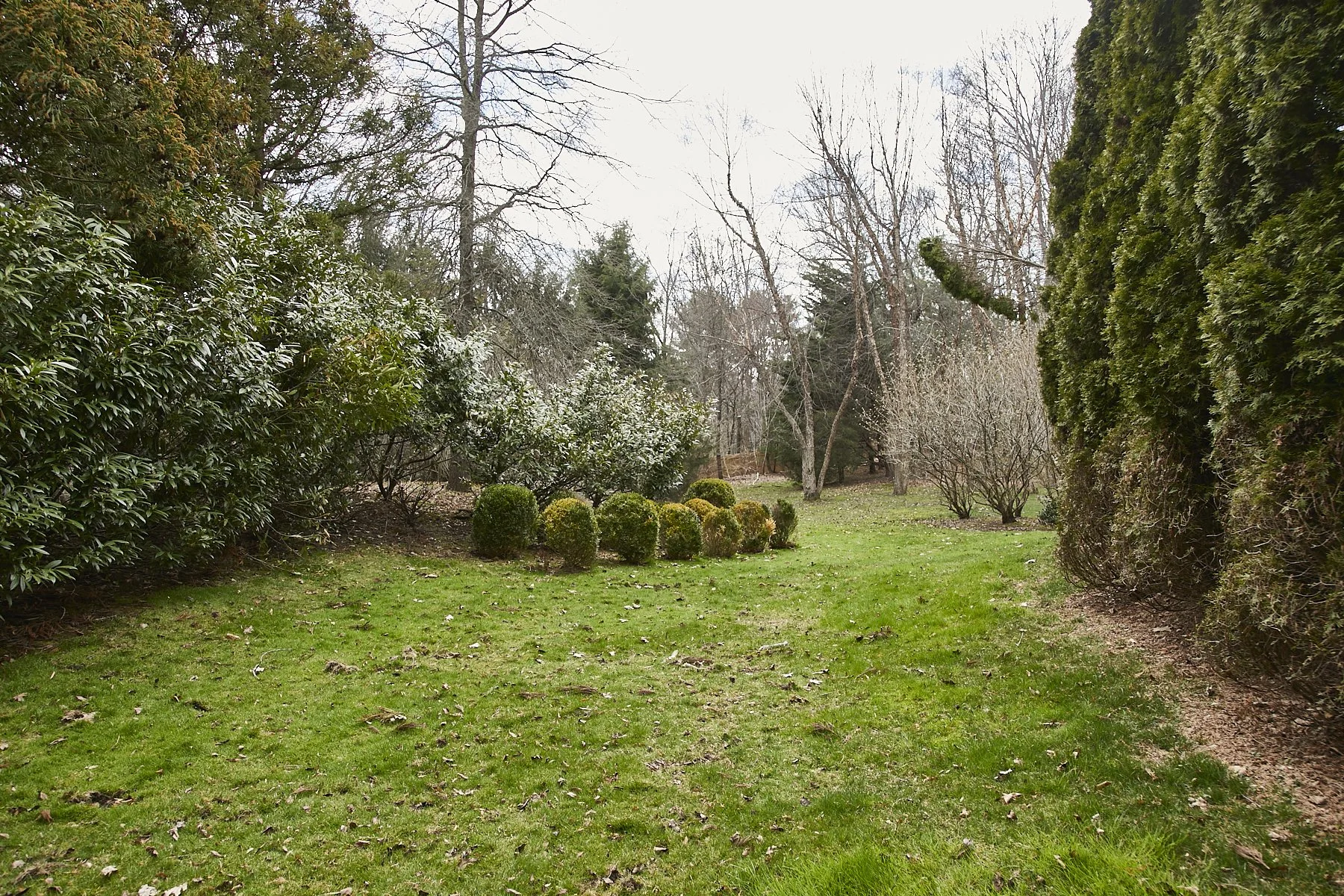 1985-4 Cedar Swamp , GLEN HEAD_116.jpg