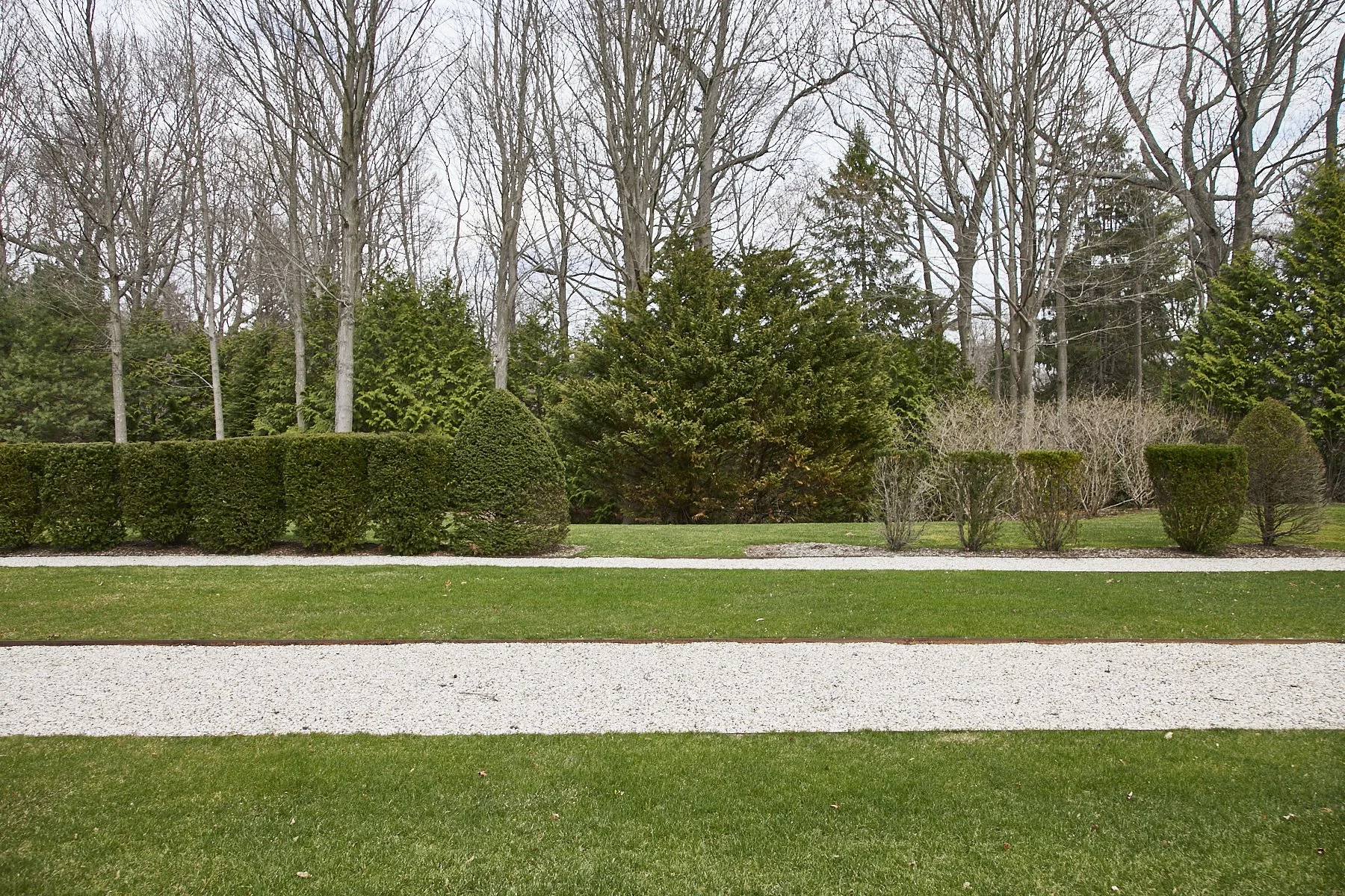 1985-4 Cedar Swamp , GLEN HEAD_145.jpg