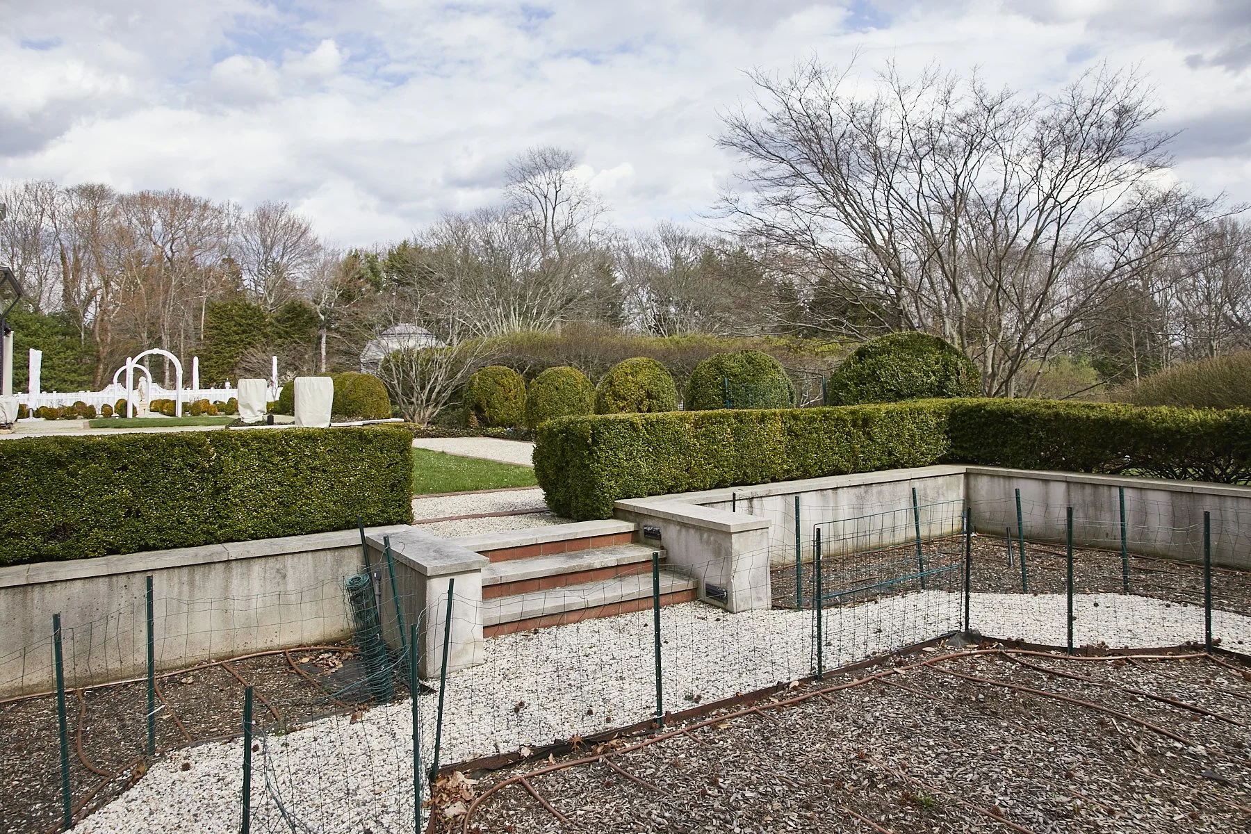 1985-4 Cedar Swamp , GLEN HEAD_253.jpg