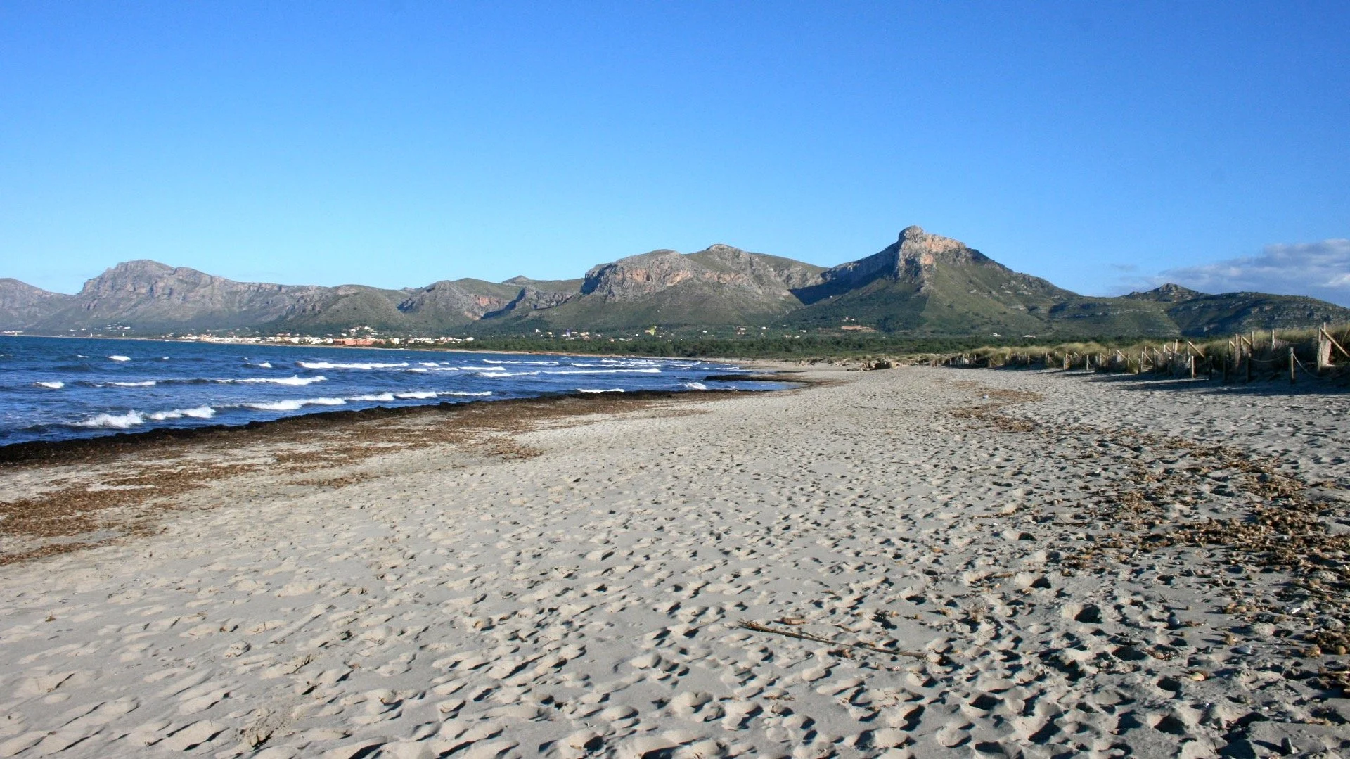 SonSerra_3.jpg