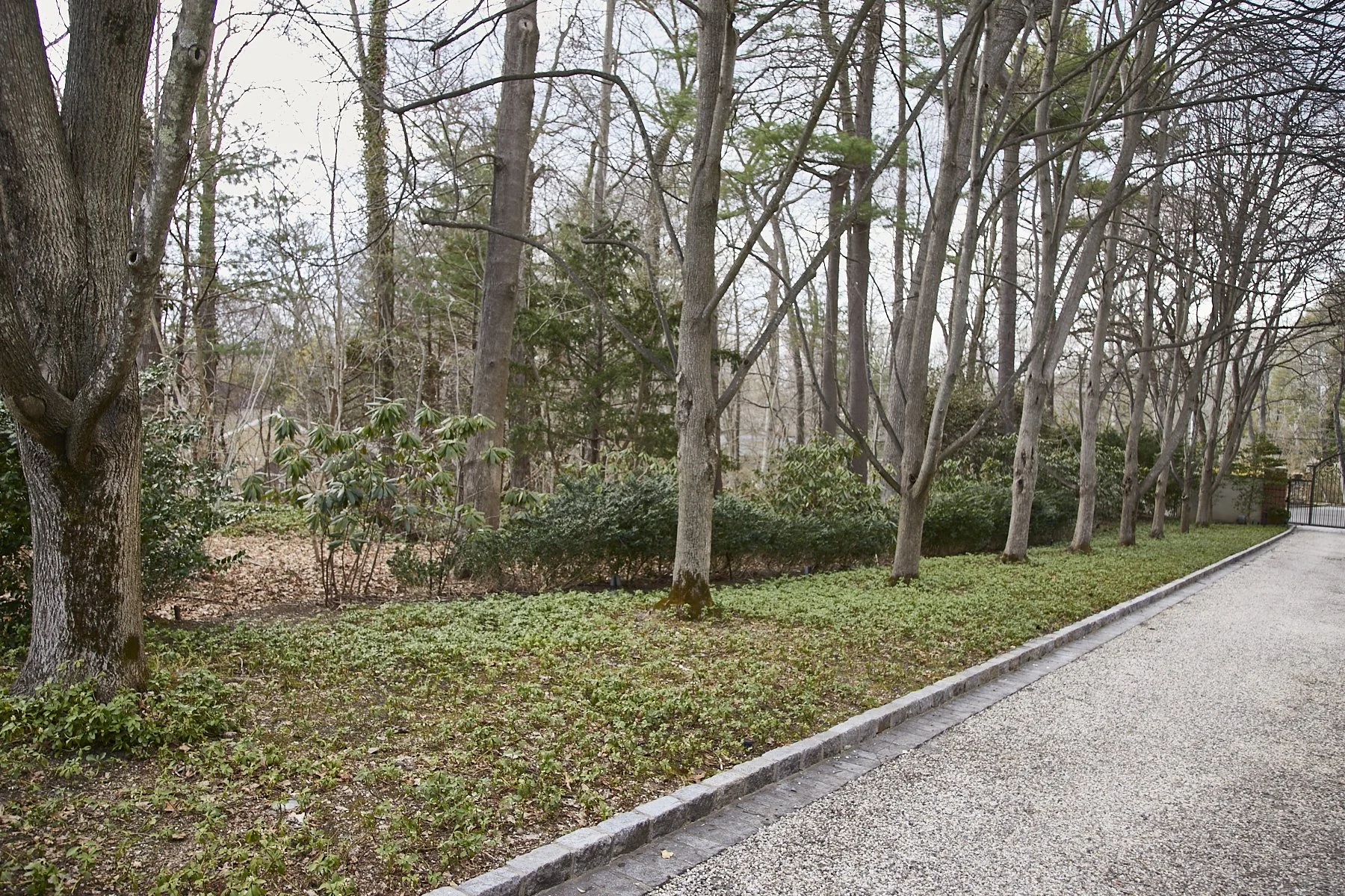 1985-4 Cedar Swamp , GLEN HEAD_301.jpg