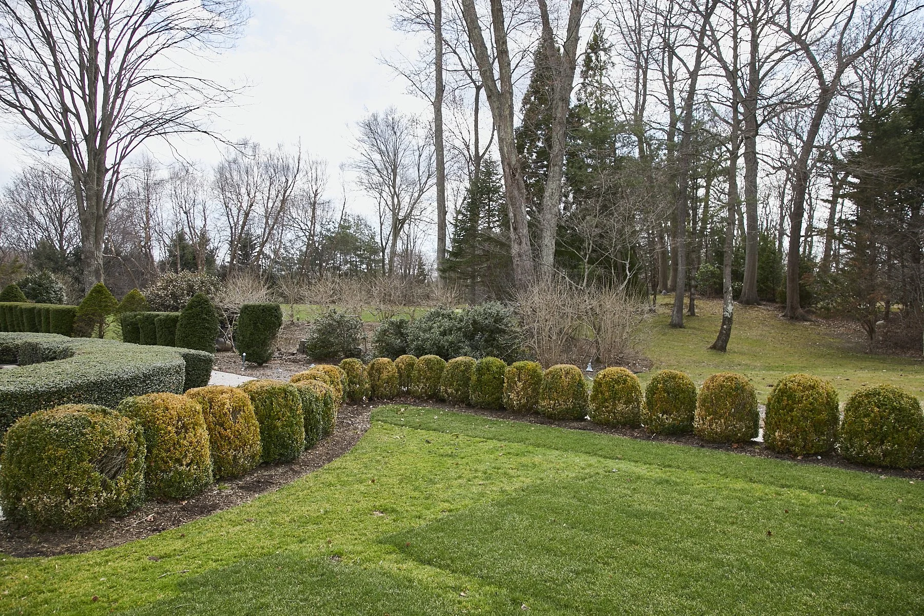 1985-4 Cedar Swamp , GLEN HEAD_178.jpg