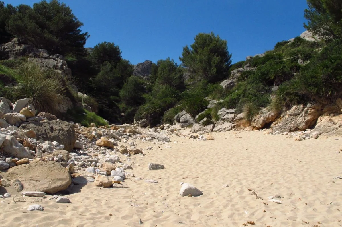 Sant_Vicenç_24.jpg