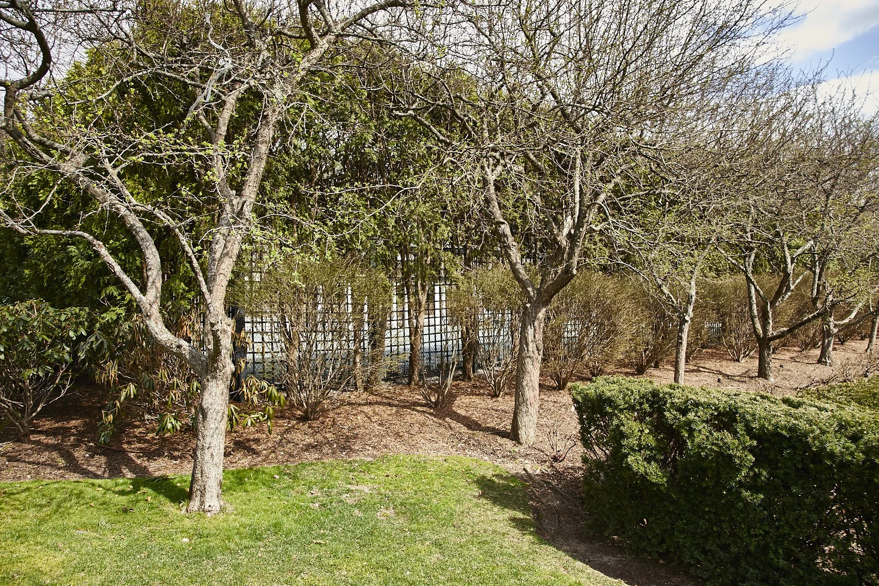 1985-4 Cedar Swamp , GLEN HEAD_207.jpg