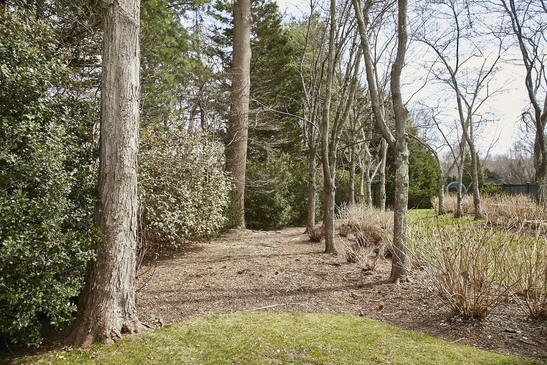 1985-4 Cedar Swamp , GLEN HEAD_44.jpg