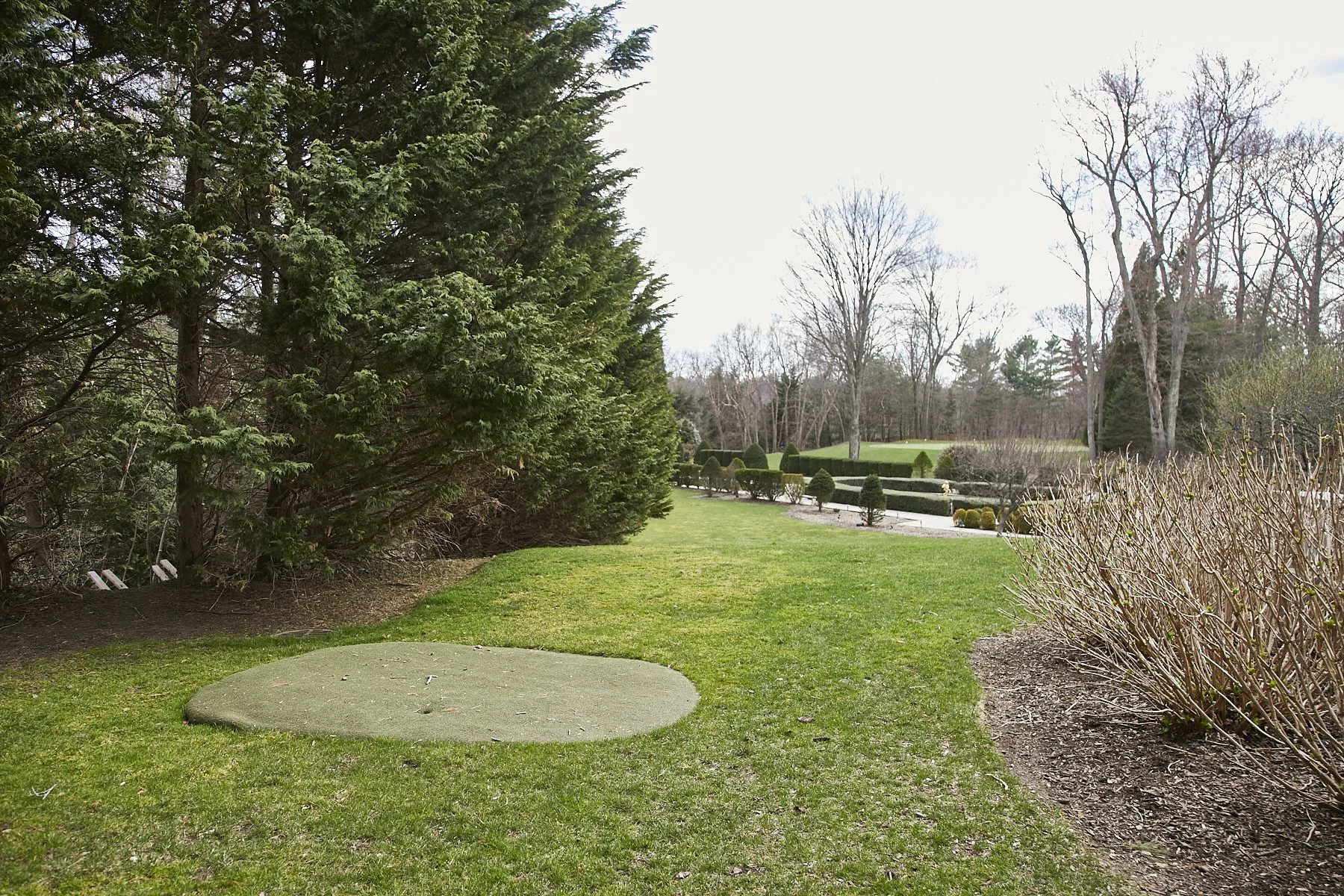 1985-4 Cedar Swamp , GLEN HEAD_94.jpg