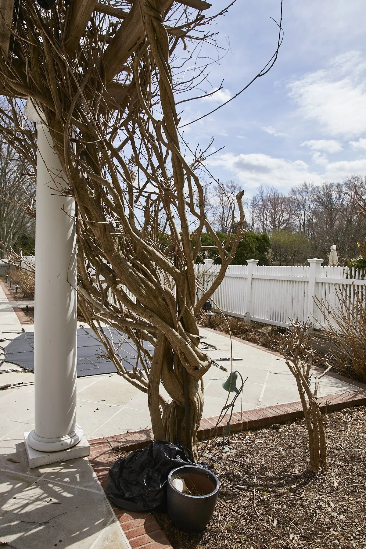 1985-4 Cedar Swamp , GLEN HEAD_36.jpg