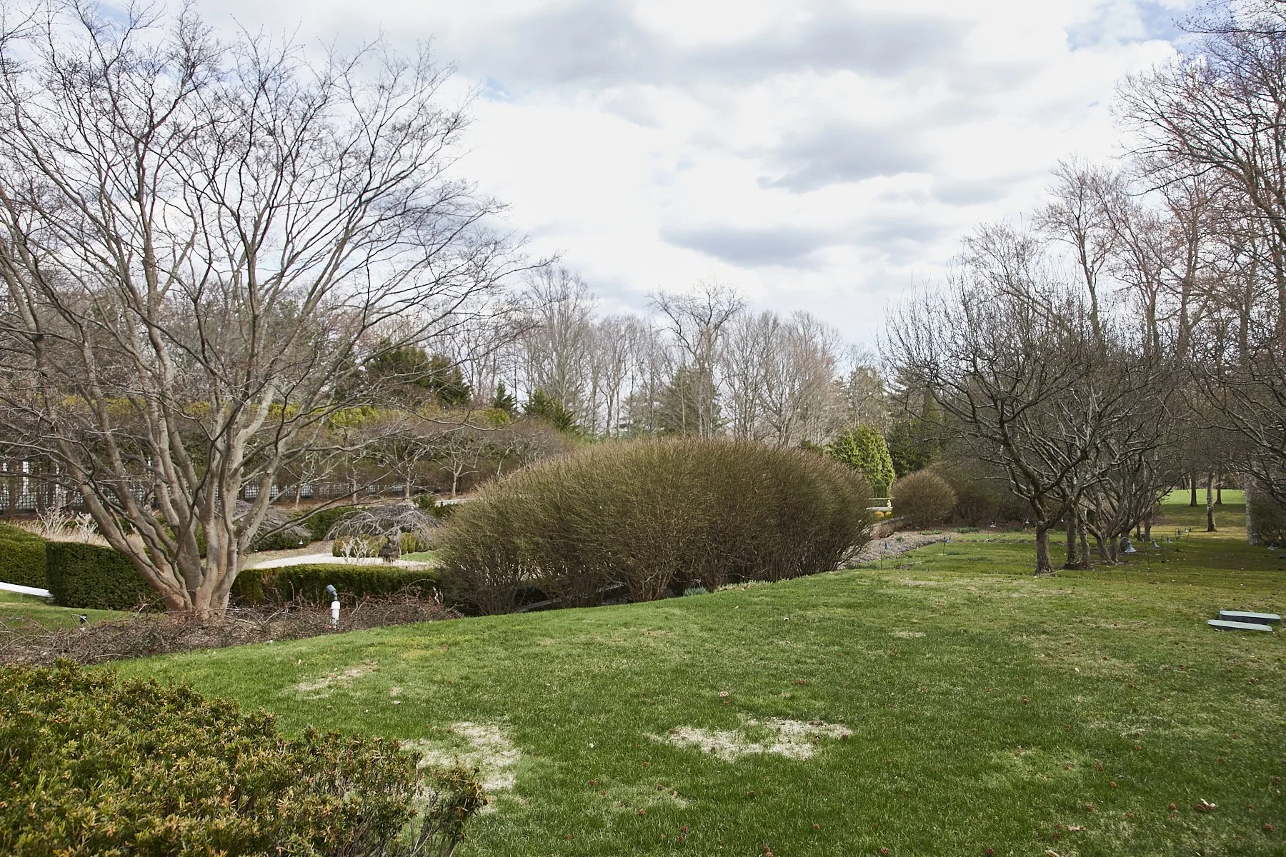 1985-4 Cedar Swamp , GLEN HEAD_258.jpg