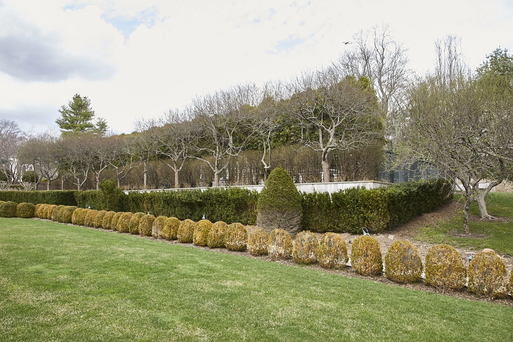 1985-4 Cedar Swamp , GLEN HEAD_180.jpg