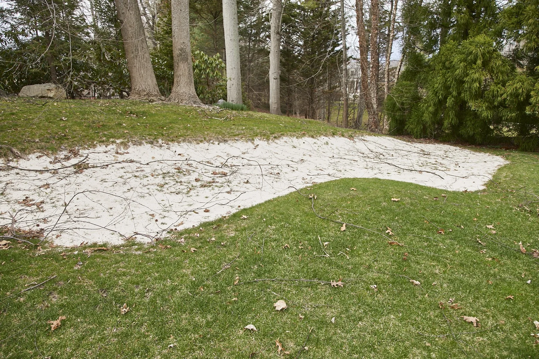 1985-4 Cedar Swamp , GLEN HEAD_137.jpg