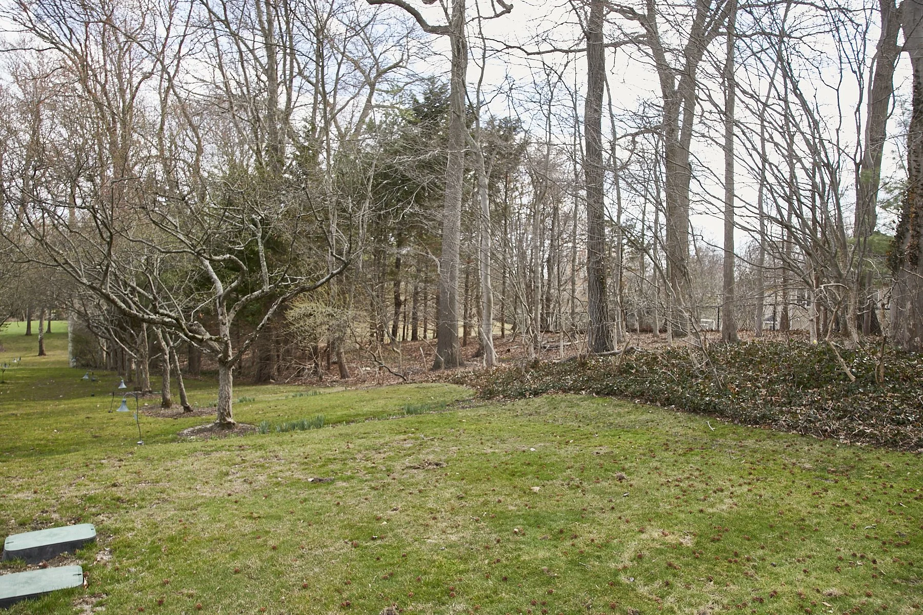 1985-4 Cedar Swamp , GLEN HEAD_263.jpg