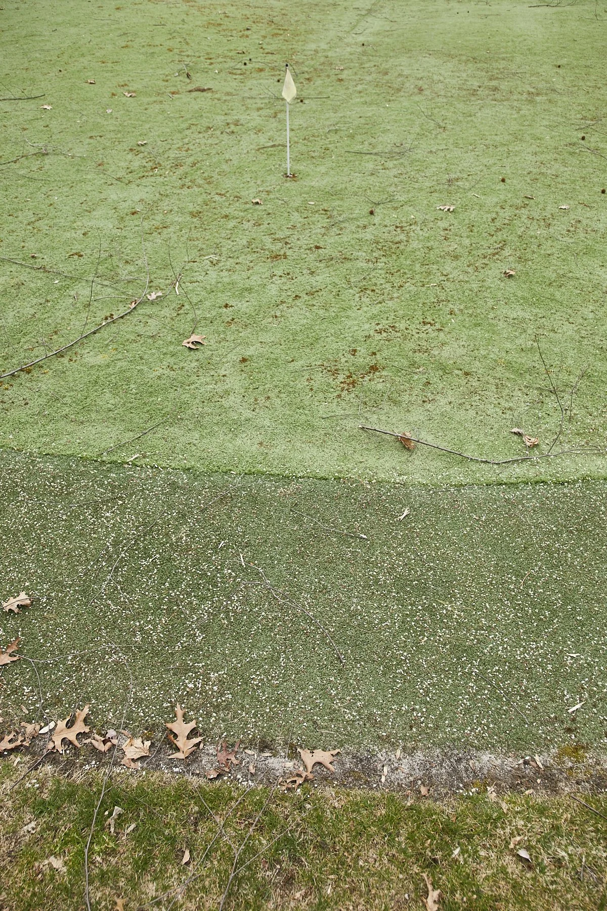 1985-4 Cedar Swamp , GLEN HEAD_126.jpg