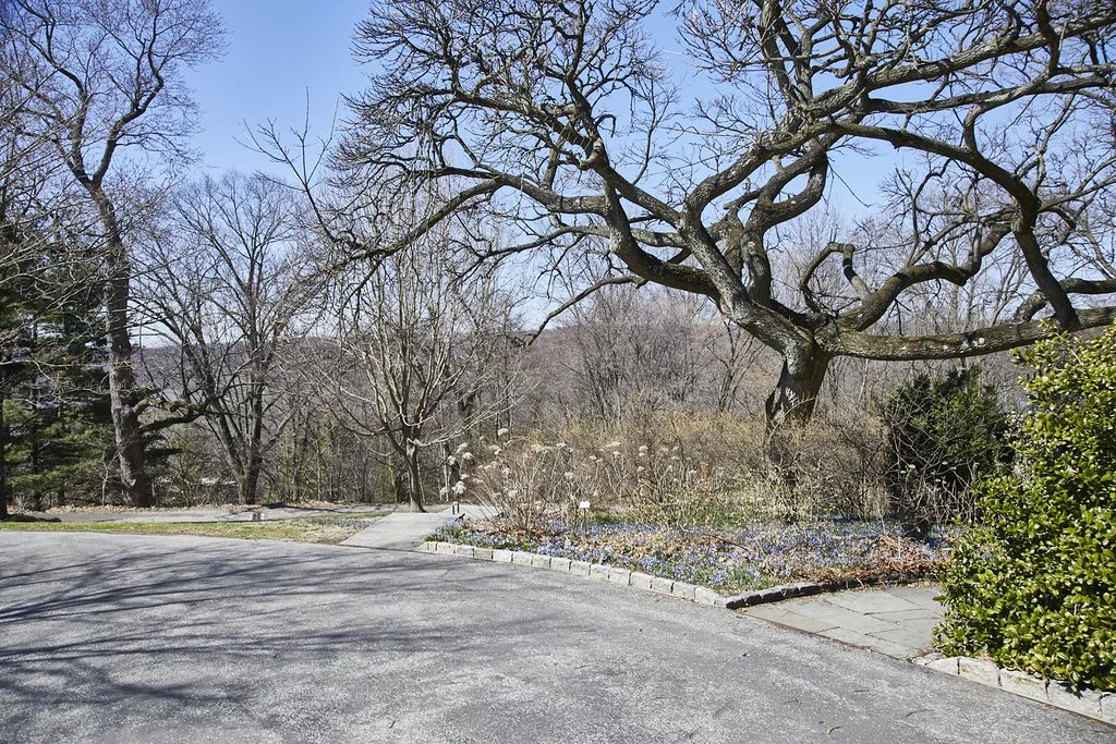 WAVE_HILL_BRONX_369.jpg