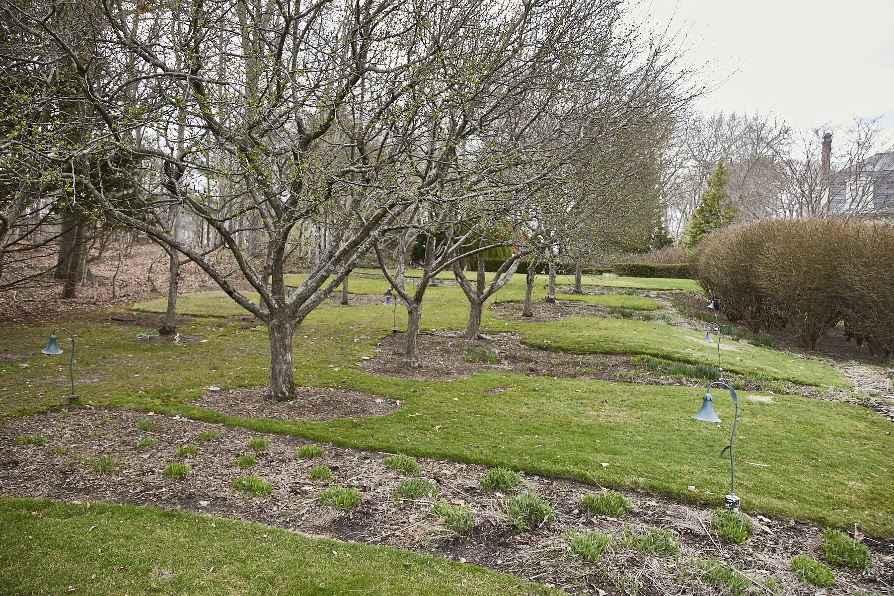 1985-4 Cedar Swamp , GLEN HEAD_271.jpg