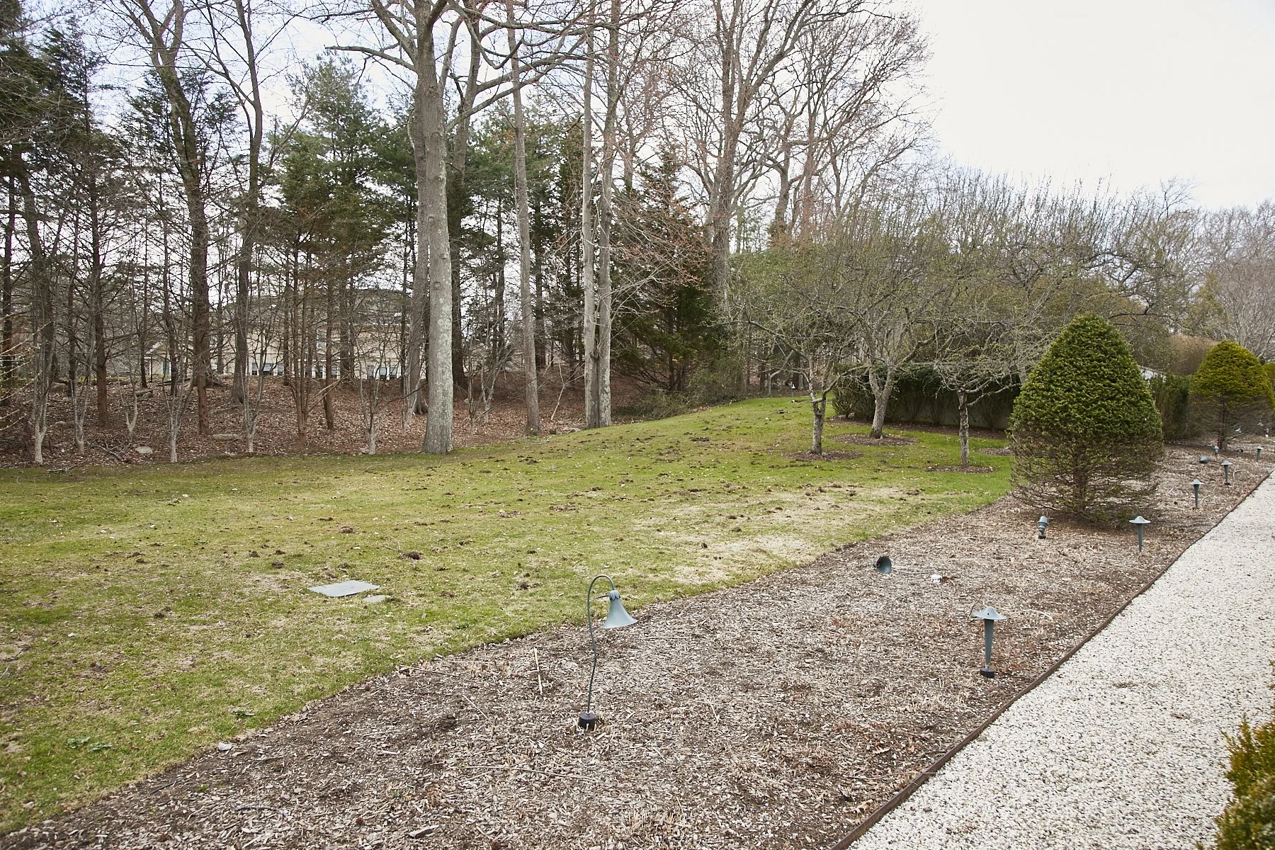 1985-4 Cedar Swamp , GLEN HEAD_161.jpg