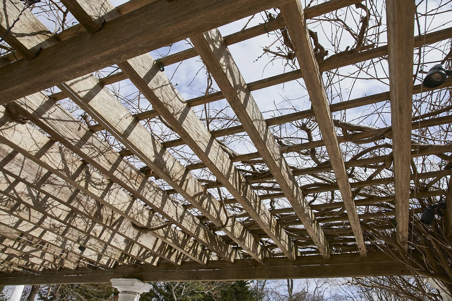 1985-4 Cedar Swamp , GLEN HEAD_35.jpg